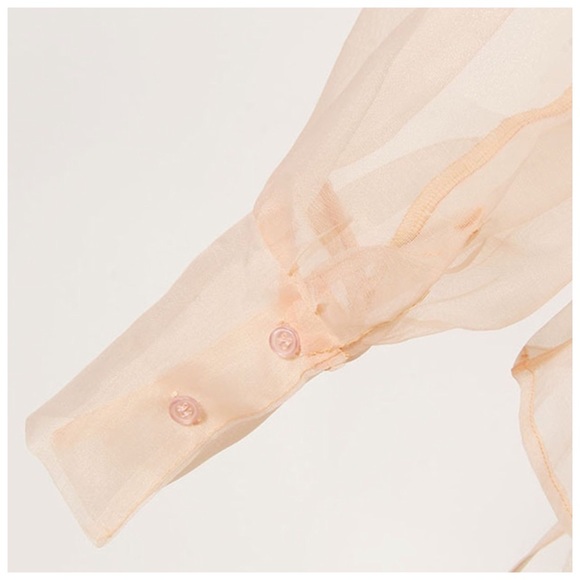 ❤️ Sheer Peach Organza Wrap Top - Picture 6 of 7